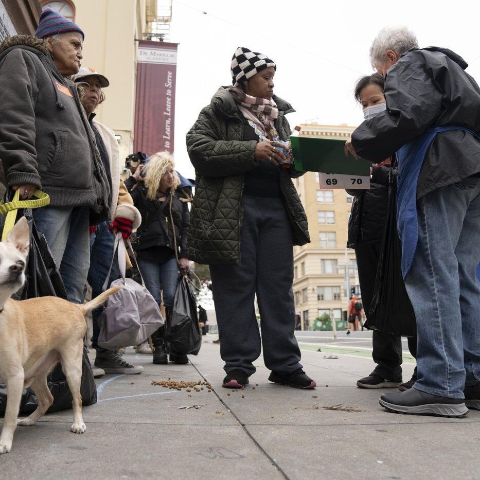 Dogs sit and stay to get vaccinated against parvovirus at San Francisco free clinic